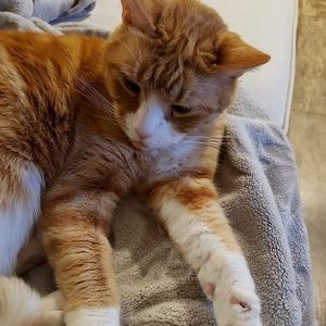 Meet your Posher, Angelica